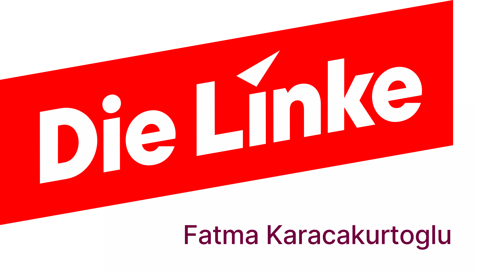 Fatma Karacakurtoglu